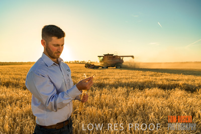 December 2019 / BARLEY_HARVEST_GERANIUM_191210_122