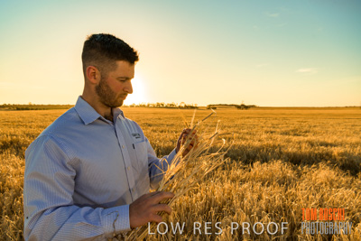 December 2019 / BARLEY_HARVEST_GERANIUM_191210_124
