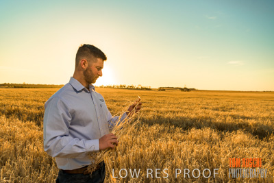 December 2019 / BARLEY_HARVEST_GERANIUM_191210_125