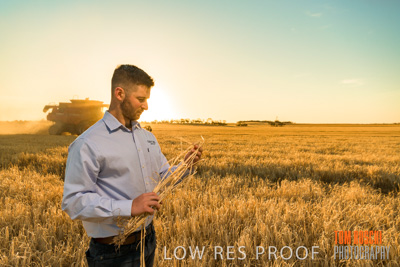 December 2019 / BARLEY_HARVEST_GERANIUM_191210_128