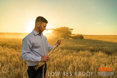 December 2019 / BARLEY_HARVEST_GERANIUM_191210_129