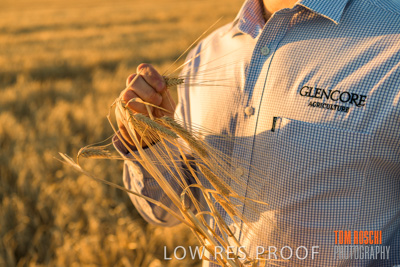 December 2019 / BARLEY_HARVEST_GERANIUM_191210_156