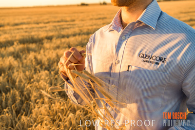 December 2019 / BARLEY_HARVEST_GERANIUM_191210_161