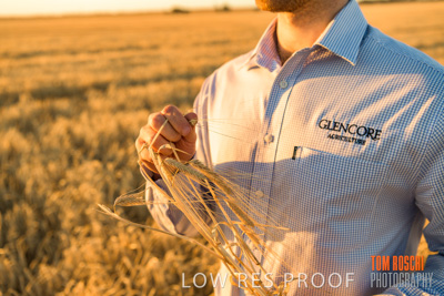 December 2019 / BARLEY_HARVEST_GERANIUM_191210_162