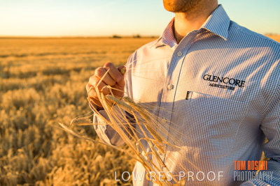 December 2019 / BARLEY_HARVEST_GERANIUM_191210_164