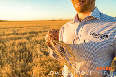 December 2019 / BARLEY_HARVEST_GERANIUM_191210_165