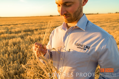 December 2019 / BARLEY_HARVEST_GERANIUM_191210_168