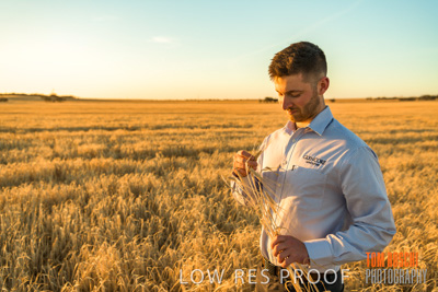 December 2019 / BARLEY_HARVEST_GERANIUM_191210_172