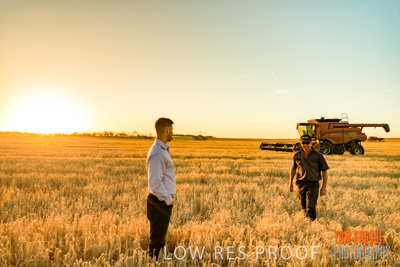 December 2019 / BARLEY_HARVEST_GERANIUM_191210_176