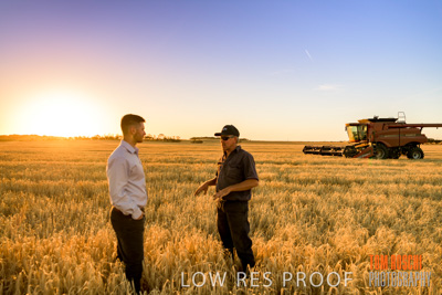 December 2019 / BARLEY_HARVEST_GERANIUM_191210_180