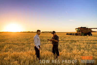 December 2019 / BARLEY_HARVEST_GERANIUM_191210_181