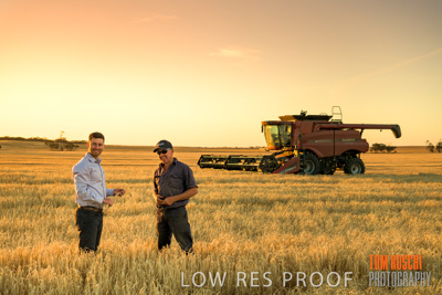December 2019 / BARLEY_HARVEST_GERANIUM_191210_188