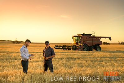 December 2019 / BARLEY_HARVEST_GERANIUM_191210_189