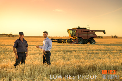 December 2019 / BARLEY_HARVEST_GERANIUM_191210_190