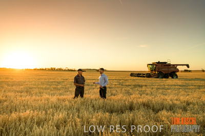 December 2019 / BARLEY_HARVEST_GERANIUM_191210_192