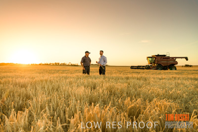December 2019 / BARLEY_HARVEST_GERANIUM_191210_199