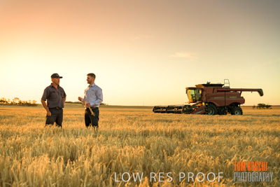 December 2019 / BARLEY_HARVEST_GERANIUM_191210_201