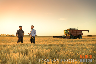 December 2019 / BARLEY_HARVEST_GERANIUM_191210_202