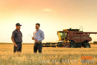 December 2019 / BARLEY_HARVEST_GERANIUM_191210_204