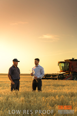 December 2019 / BARLEY_HARVEST_GERANIUM_191210_206