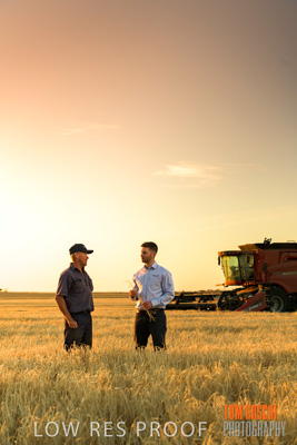 December 2019 / BARLEY_HARVEST_GERANIUM_191210_207