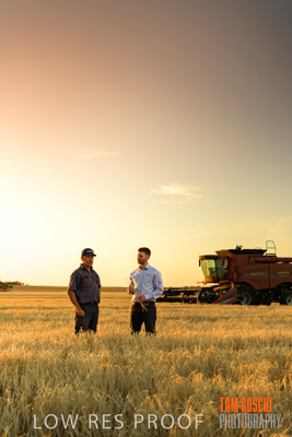 December 2019 / BARLEY_HARVEST_GERANIUM_191210_208