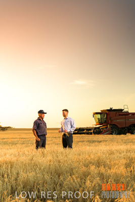 December 2019 / BARLEY_HARVEST_GERANIUM_191210_209
