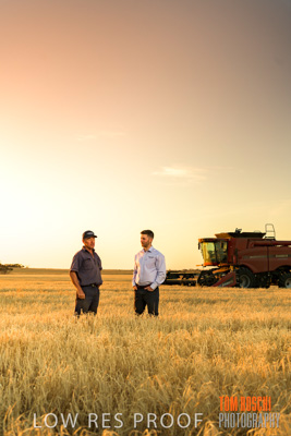 December 2019 / BARLEY_HARVEST_GERANIUM_191210_210