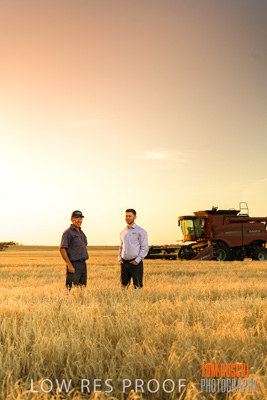 December 2019 / BARLEY_HARVEST_GERANIUM_191210_211
