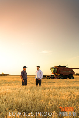 December 2019 / BARLEY_HARVEST_GERANIUM_191210_212
