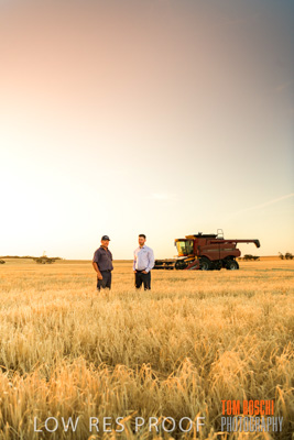 December 2019 / BARLEY_HARVEST_GERANIUM_191210_214