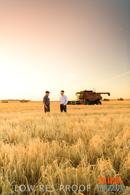 December 2019 / BARLEY_HARVEST_GERANIUM_191210_216