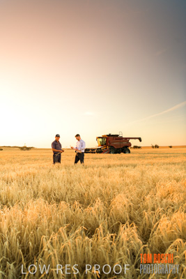 December 2019 / BARLEY_HARVEST_GERANIUM_191210_217