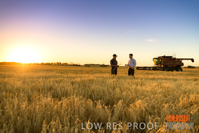 December 2019 / BARLEY_HARVEST_GERANIUM_191210_222
