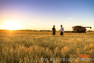 December 2019 / BARLEY_HARVEST_GERANIUM_191210_223