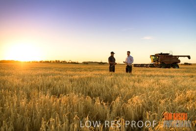 December 2019 / BARLEY_HARVEST_GERANIUM_191210_224