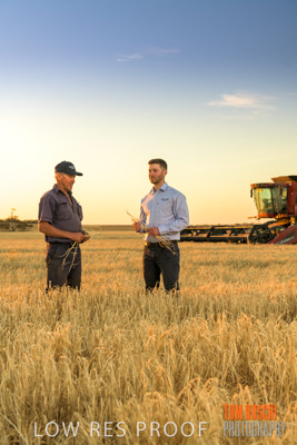 December 2019 / BARLEY_HARVEST_GERANIUM_191210_226