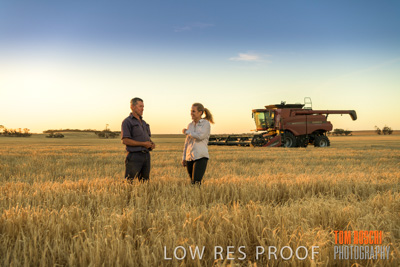 December 2019 / BARLEY_HARVEST_GERANIUM_191210_228
