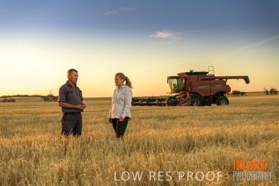 December 2019 / BARLEY_HARVEST_GERANIUM_191210_229