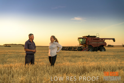 December 2019 / BARLEY_HARVEST_GERANIUM_191210_231