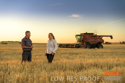 December 2019 / BARLEY_HARVEST_GERANIUM_191210_232