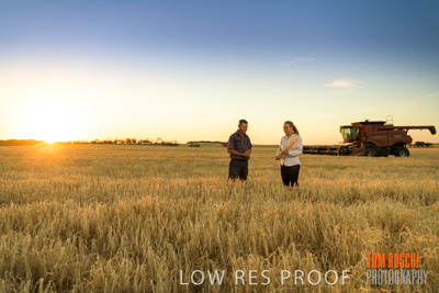 December 2019 / BARLEY_HARVEST_GERANIUM_191210_236