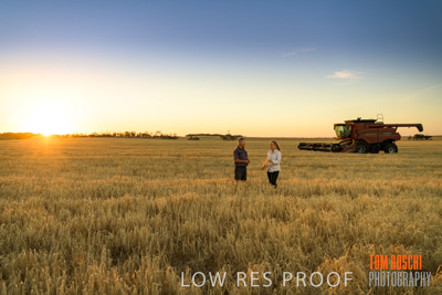 December 2019 / BARLEY_HARVEST_GERANIUM_191210_237