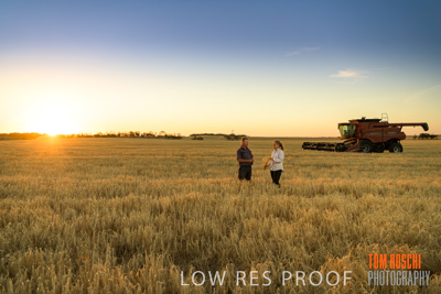December 2019 / BARLEY_HARVEST_GERANIUM_191210_238