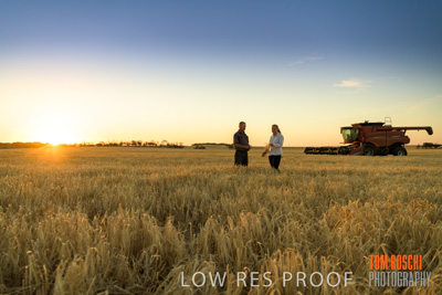 December 2019 / BARLEY_HARVEST_GERANIUM_191210_240