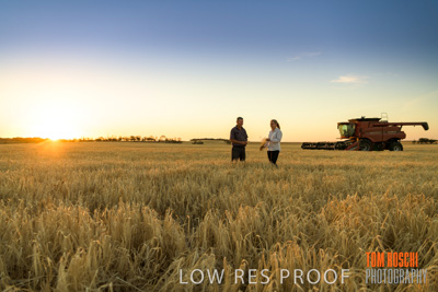 December 2019 / BARLEY_HARVEST_GERANIUM_191210_243