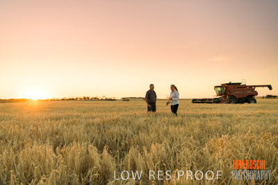 December 2019 / BARLEY_HARVEST_GERANIUM_191210_244