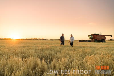 December 2019 / BARLEY_HARVEST_GERANIUM_191210_245