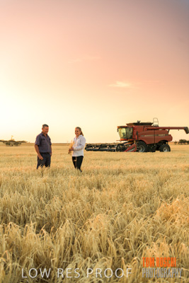 December 2019 / BARLEY_HARVEST_GERANIUM_191210_251