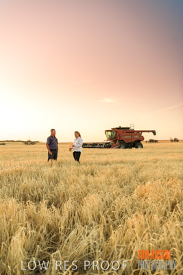 December 2019 / BARLEY_HARVEST_GERANIUM_191210_253